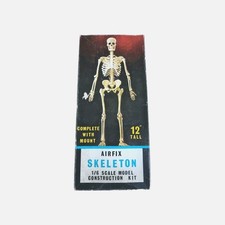Airfix 1/6th Scale 12" Skeleton Model Kit With Mount Made in England Vintage