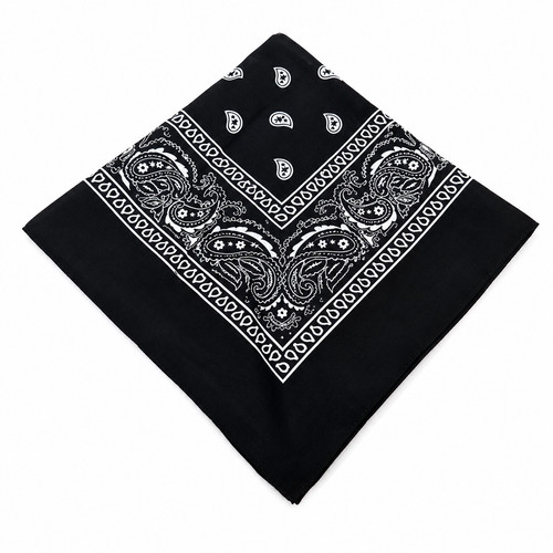 Paisley bandana head - bandana,