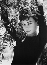 VTG Philippe Halsman Photo