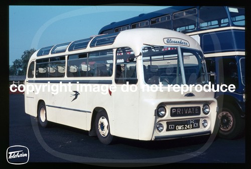 Copy bus slide alexander - slide,