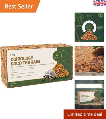 Tortoise bedding reptile - tortoise,