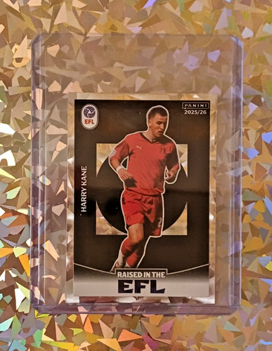 Harry kane raised the efl - the,