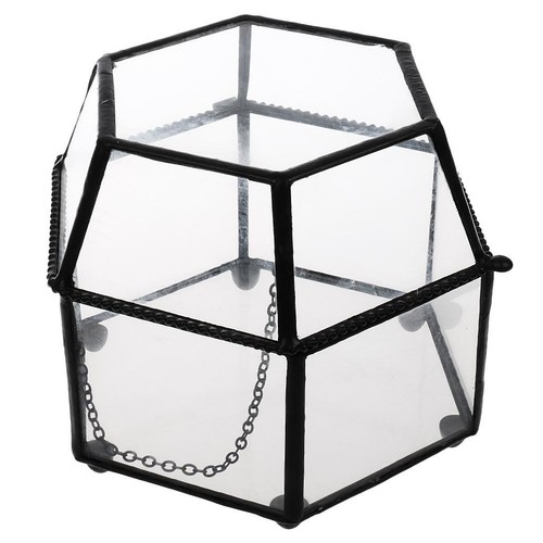 Glass tabletop succulent plant - glass,