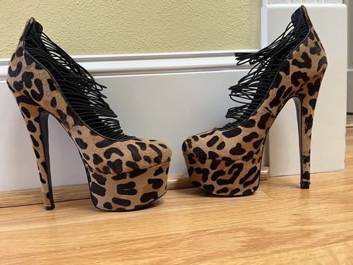 Sky high cheetah animal - sky,