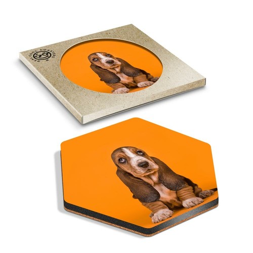 Hexagon coaster basset - coaster,