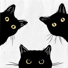(2) Two Paper Lunch Napkins