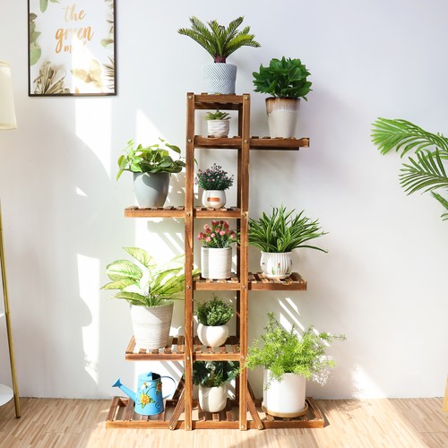 Tall wood plant - tall, stand