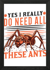 Ants Ant Farm Anthill Fire