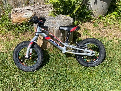 Wiggins pau balance - pau, 12"