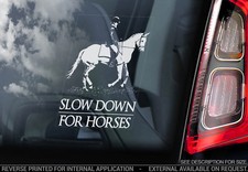 SLOW DOWN FOR HORSES, Car