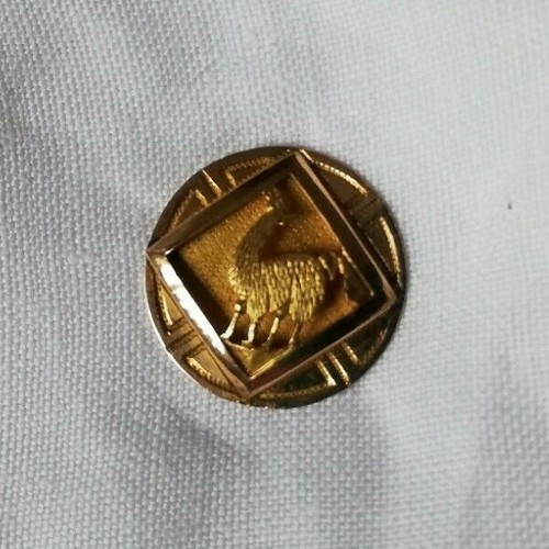 Antique tie pin gold - , effect