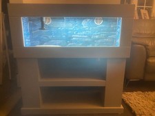 Modern 3ft Reptile Vivarium