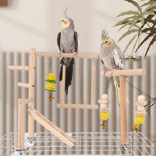Parrot playground supplies - playground,