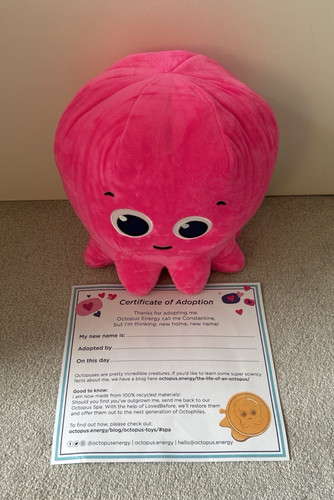 Genuine octopus energy 23cm - octopus,