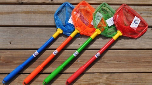 Joy fish bait - fish, net
