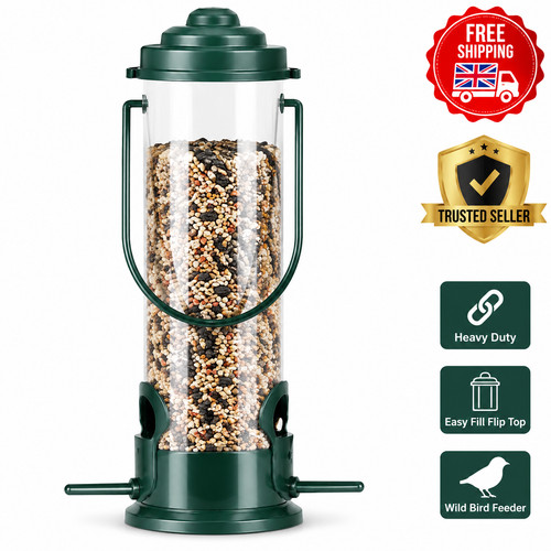 Wild garden bird - bird, seed