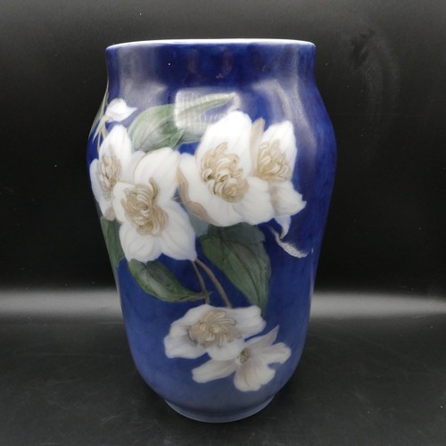 Beautiful large royal - beautiful,