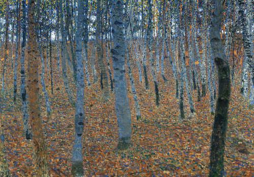 Autumn birch forest poster - autumn,