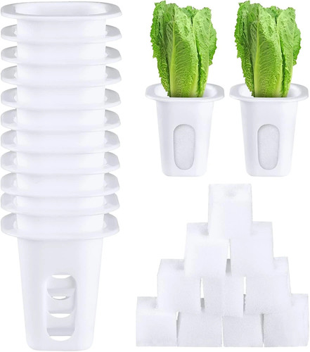 100 pcs hydroponics - pcs, growing