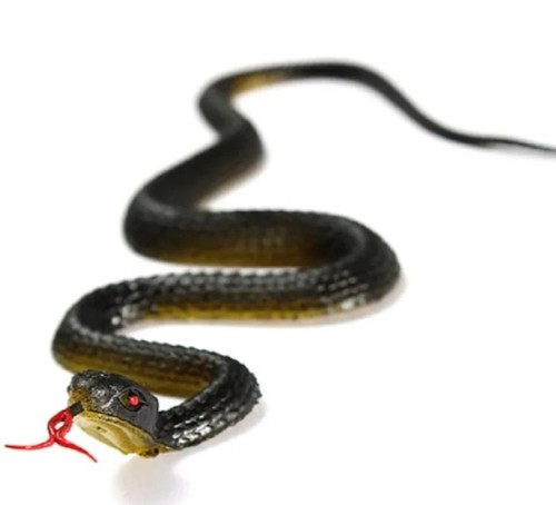 Fake rubber snake prank - fake,