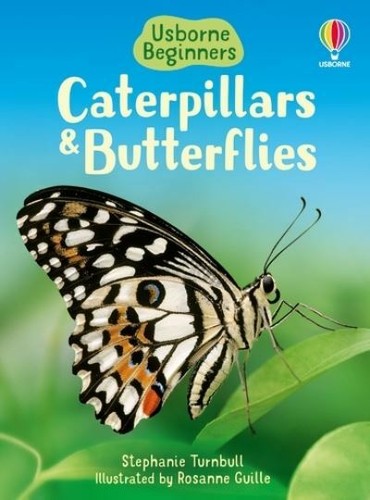 Usborne beginners - ,