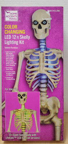 Skeleton skelly led home - 12,