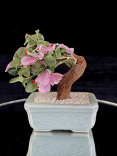 Hand-Carved Jade/Stone Bonsai Tree Figurine - Pink Flowers & Green Leaves