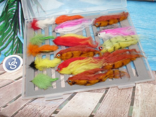 Quality saltwater fishing - saltwater,