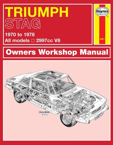 Triumph stag owner - triumph, workshop