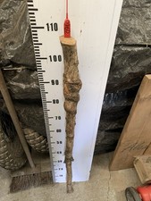 Huge Birch TWISTY Twistie