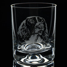 Springer Spaniel Dog Head