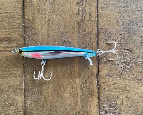 New rainbow minnow - new,