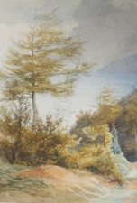 Original Watercolour, 'Coastline with Trees', early 20thC, Artist Unknown
