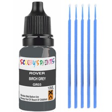 For Rover Birch Grey Paint