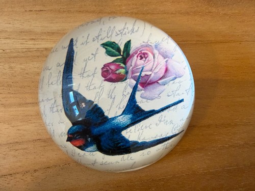 Swallow and pretty rose - and,