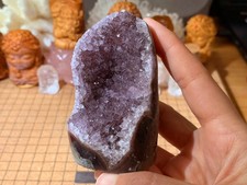 Natural Amethyst Geode Quartz Crystal Cluster - 195 Grams (#155)