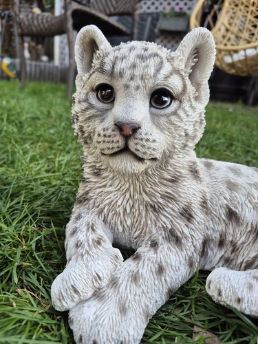 Vivid arts snow leopard - snow,