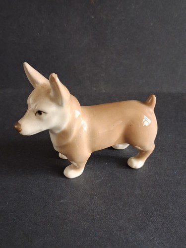 Szeiler corgi dog - corgi,