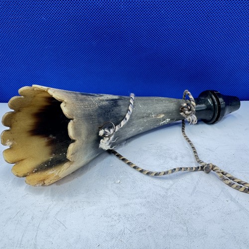 Horn bugle nesbyen - horn, polished