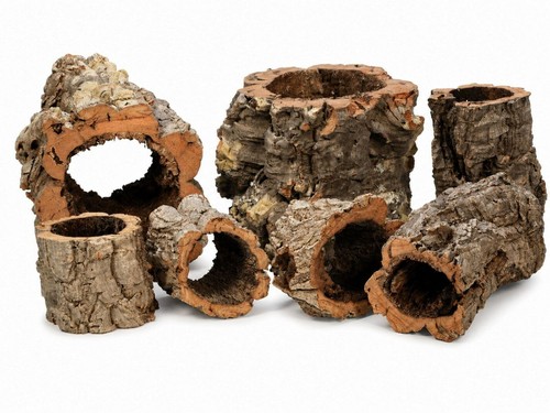 Natural cork bark pieces - bark,