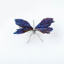 Aura kyanite dragonfly - kyanite, healing