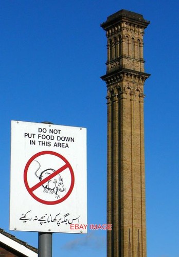 Photo bradford like rat - photo, a