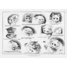 LOUIS WAIN A Tyro Scientist at