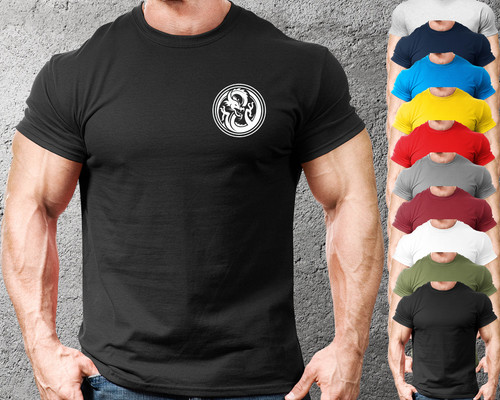 Dragon circle gym - dragon,