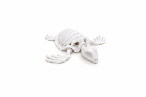 Sea skeleton turtle fidget - skeleton,