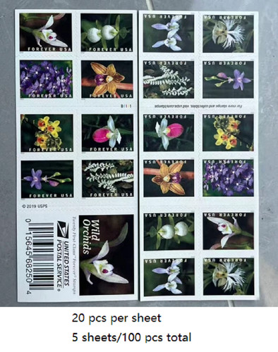 2020 wild orchids - 2020,
