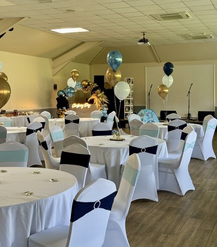 Chair cover hire only party - cover,