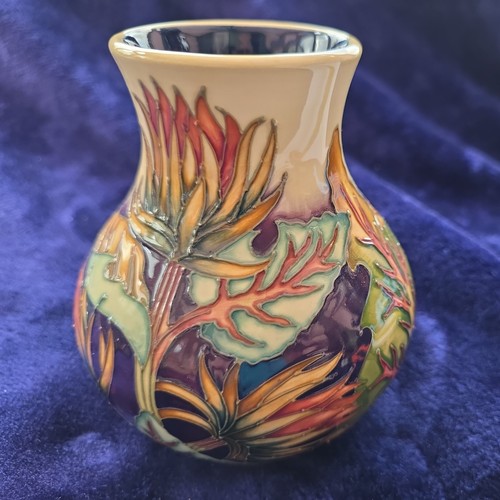 Moorcroft burdock vase - moorcroft, vase,