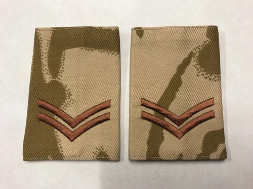 Pair official desert dpm - official,