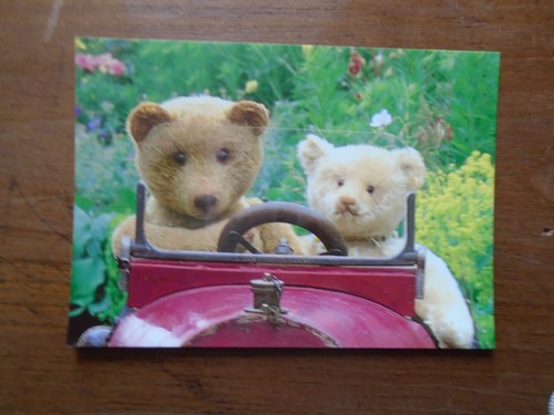 Bears car drive in the - in,
